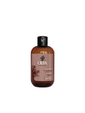 Olea Pure Origin Σαμπουάν με Έλαιο Baobab & Λιναρόσπορου Πλούσιο Σε Αμινοξέα & Βιταμίνες - 250ml Olea Pure Origin Σαμπουάν με Έλαιο Baobab & Λιναρόσπορου Πλούσιο Σε Αμινοξέα & Βιταμίνες - 250ml