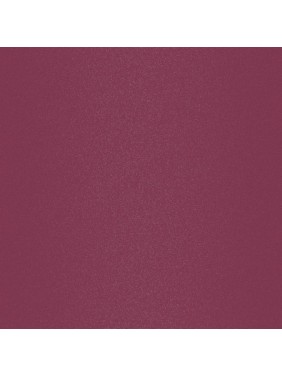 Lavish Care Matte Liquid Lipcolor No9