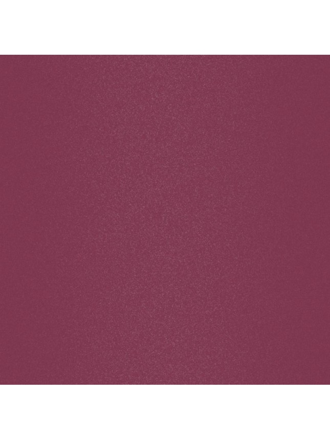 Lavish Care Matte Liquid Lipcolor No9