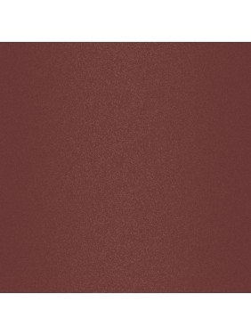 Lavish Care Matte Liquid Lipcolor No10