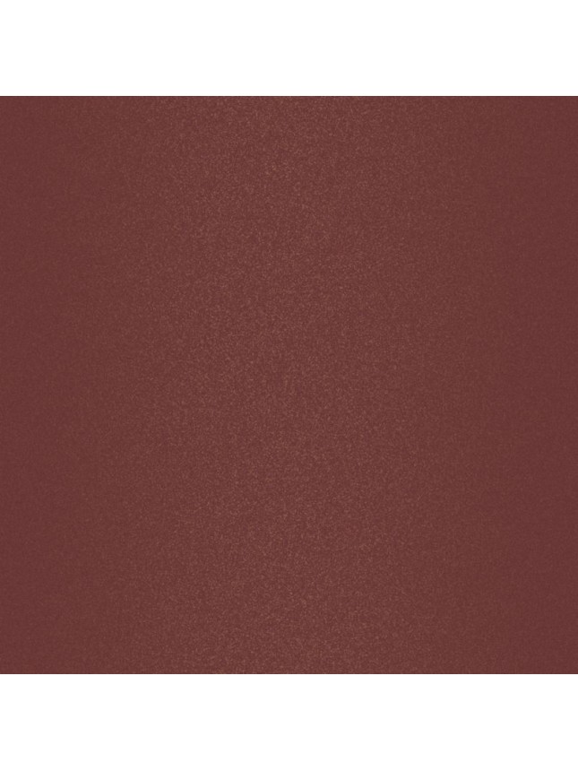 Lavish Care Matte Liquid Lipcolor No10