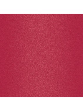 Lavish Care Matte Liquid Lipcolor No14