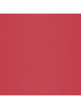 Lavish Care Matte Liquid Lipcolor No29