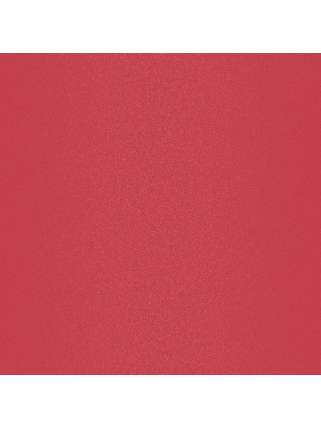 Lavish Care Matte Liquid Lipcolor No29