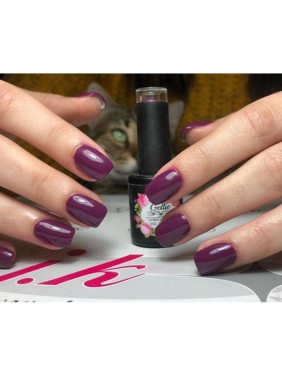 Gellie Ημιμόνιμο Βερνίκι E 623